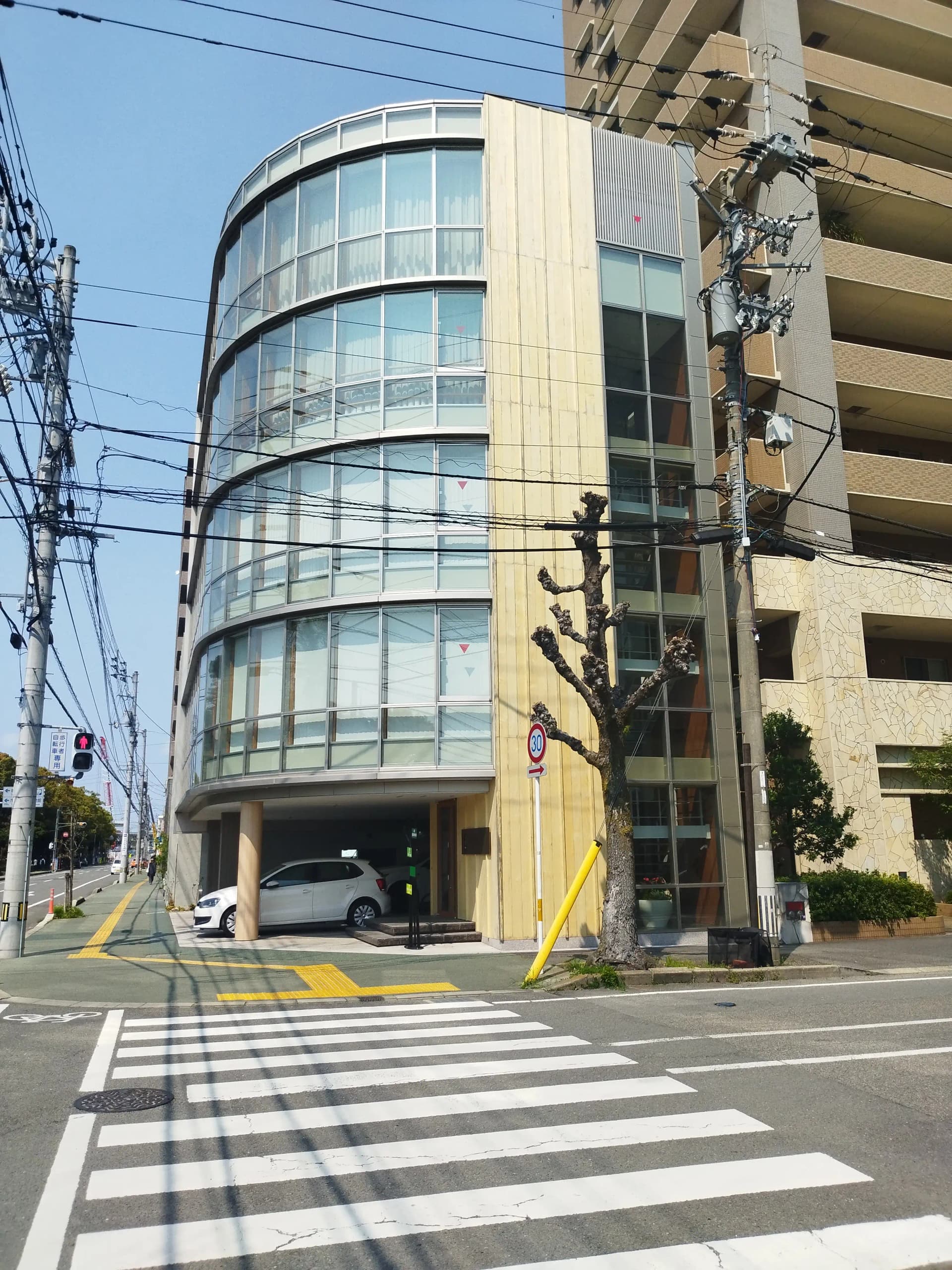 アコヤ施工事例 6