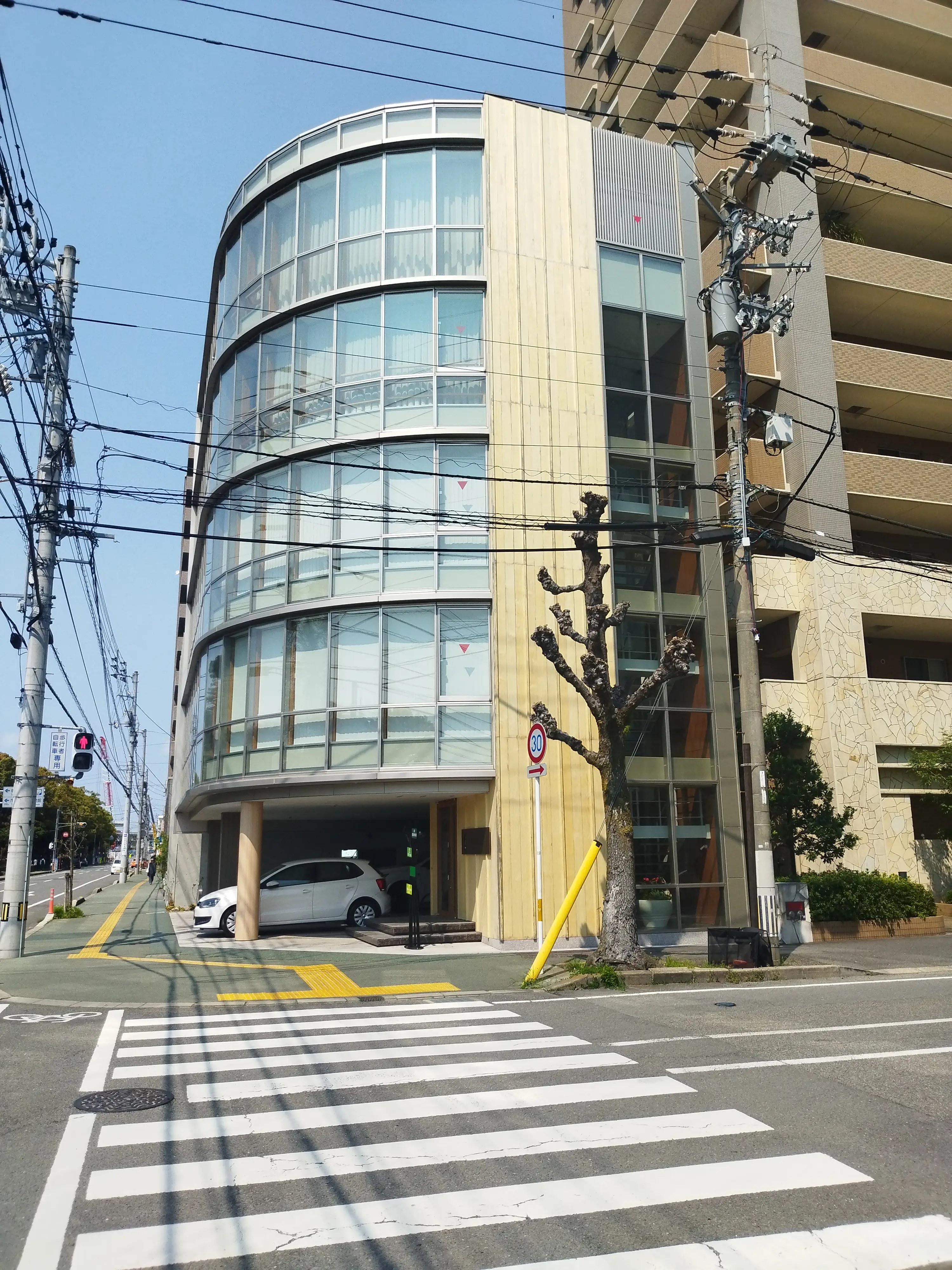 アコヤ施工事例 6